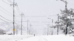 Power Lines in Snow